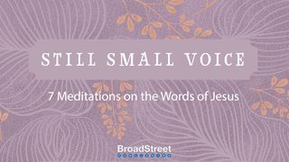 Still Small Voice: 7-Day Meditations on the Words of Jesus Ioan 6:20 Biblia Traducerea Fidela 2015