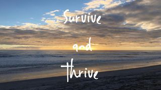 Divorce To Healing: Survive And Thrive 2 Timothy 2:15-17 New Century Version
