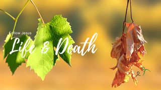 Discipleship & Life and Death Matthew 16:24-26 The Message