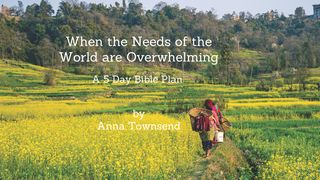When the Needs of the World Are Overwhelming: 5 Day Bible Plan Luke 10:25 King James Version