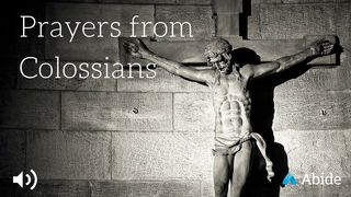 Prayers From Colossians Colossians 3:15 English Standard Version 2016