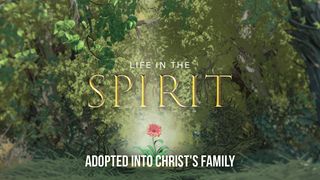 Life in the Spirit: Adopted Into Christ's Family Galatians 3:29 New Living Translation