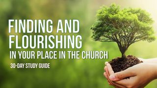 Finding and Flourishing in Your Place in the Church Jeremiah 18:6 New International Version