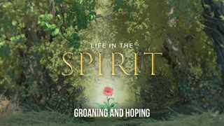 Life in the Spirit: Groaning and Hoping Hebrews 6:19 New International Version