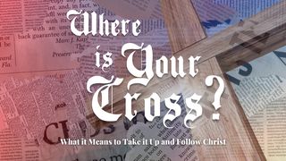 Where Is Your Cross? Matthew 16:15 Amplified Bible