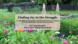 Finding Joy in the Struggle Philippians 3:17-19 The Message