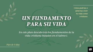 Un Fundamento Para Su Vida Cristiana Mateo 5:10 Nueva Versión Internacional - Español