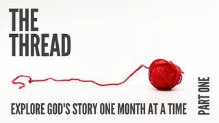 The Thread Genesis 8:22 The Message
