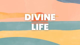 Divine Life Psalms 23:4 The Message