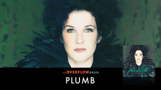 Plumb - The Overflow Devo Proverbs 3:19 New Century Version