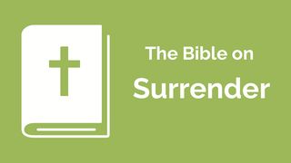 Financial Discipleship - the Bible on Surrender Matthew 7:15-20 The Message