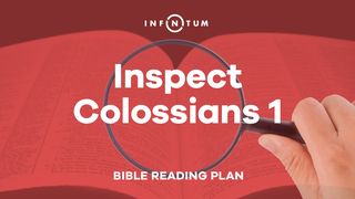 Infinitum: Inspect Colossians 1 Colossians 1:13-14 The Message