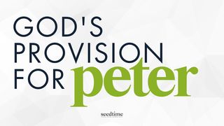 3 Biblical Promises About God's Provision (Part 2: Peter) Matthew 14:30 New American Standard Bible - NASB 1995