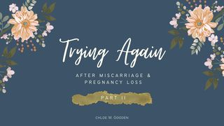 Trying Again Part II : After Miscarriage & Pregnancy Loss 1 Samuel 1:10 New International Version