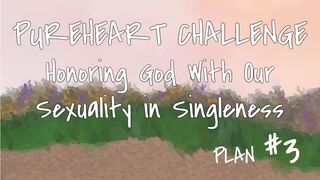 Honoring God With Our Sexuality in Singleness 1 Corinthians 10:23-24 The Message