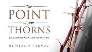 The Point of Your Thorns: Empowered by God’s Abundant Grace Job 2:3 New International Version