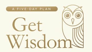 Get Wisdom Proverbs 30:3-4 The Message
