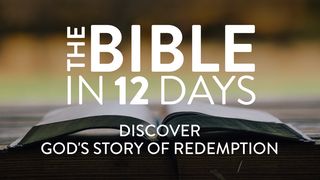 The Bible in 12 Days : Discover God’s Story of Redemption Matthew 26:69-75 The Message