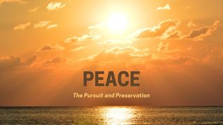 Peace - the Pursuit and Preservation John 15:5-8 New Century Version