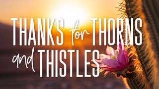 Thanks for Thorns and Thistles Proverbs 18:12 The Passion Translation