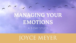 Managing Your Emotions Colossians 3:12-14 The Message