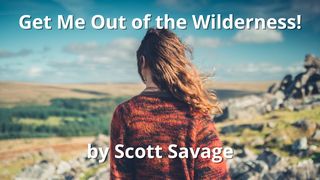 Get Me Out of the Wilderness! Matthew 3:4-6 The Message