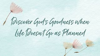 Discover God’s Goodness When Life Doesn’t Go as Planned Genesis 6:5-22 New Living Translation