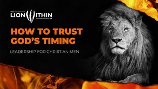 TheLionWithin.Us: How to Trust God’s Timing Matthew 24:37-39 New King James Version