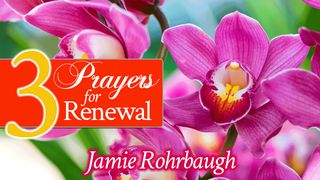 3 Prayers for Renewal Psalms 23:4 The Message