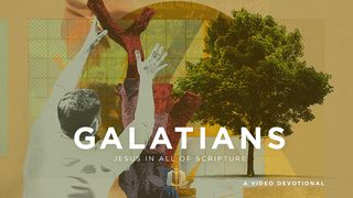 Galatians: A New Spiritual Family | Video Devotional Galatians 3:11-12 The Message