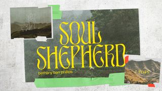 Soul Shepherd Genesis 48:15 New International Version