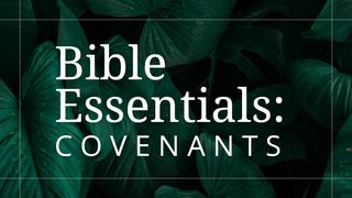 The Covenants of the Bible Jeremiah 31:31-34 New King James Version