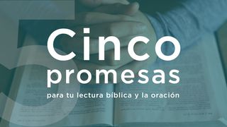 Cinco promesas para tu lectura bíblica y la oración Mateo 7:7 Nueva Versión Internacional - Español
