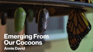 Emerging From Our Cocoons - New Year and Beginnings Proverbs 16:3 Christian Standard Bible