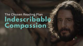 Indescribable Compassion Luke 9:58 New Living Translation