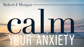 Calm Your Anxiety Ephesians 4:1-13 The Message