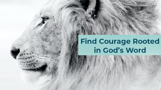 One Week Study of Philippians Using the Courage for Life Study Bible Philippians 1:29 King James Version