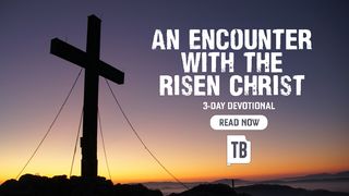 An Encounter With the Risen Christ John 20:16 New International Version