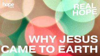 Real Hope: Why Jesus Came to Earth John 18:40 New American Standard Bible - NASB 1995