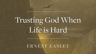 Trusting God When Life Is Hard 2 Samuel 22:29-31 The Message
