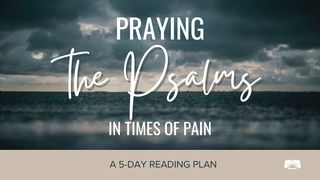Praying the Psalms in Times of Pain Psalms 42:1-3 The Message