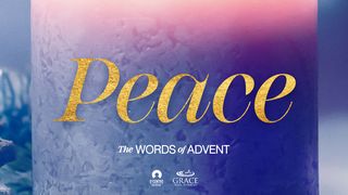 [The Words of Advent] PEACE Isaiah 9:2, 6-7 English Standard Version 2016