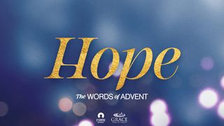 [The Words of Advent] HOPE John 1:3-5 The Message