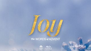[The Words of Advent] JOY Luke 2:8-14 The Message