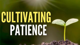 Cultivating Patience I Corinthians 3:6 New King James Version