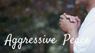 Aggressive Peace Luke 2:13-14 The Message