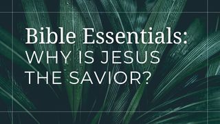 Why Is Jesus the Savior? 1 Peter 3:13-18 The Message