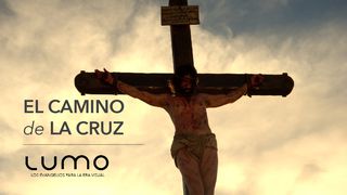 El Camino de La Cruz Tomado del Evangelio de Marcos Marcos 1:8 Nueva Versión Internacional - Español