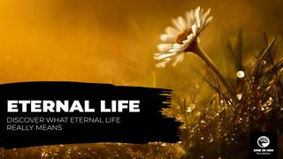 Eternal Life John 14:6-7 The Message