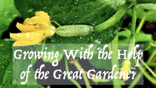 Growing With the Help of the Great Gardener Proverbs 24:32 New King James Version